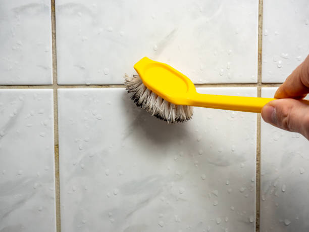 Best Best Mold Removal Companies  in Yadkinville, NC