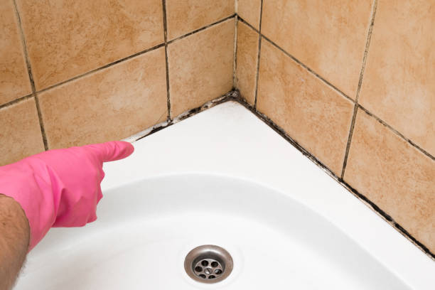 Best Mold Cleaning Services  in Yadkinville, NC